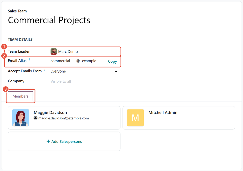 Odoo 20 Sales Team form with the Team Leader, Email Alias and Members tab highlighted
