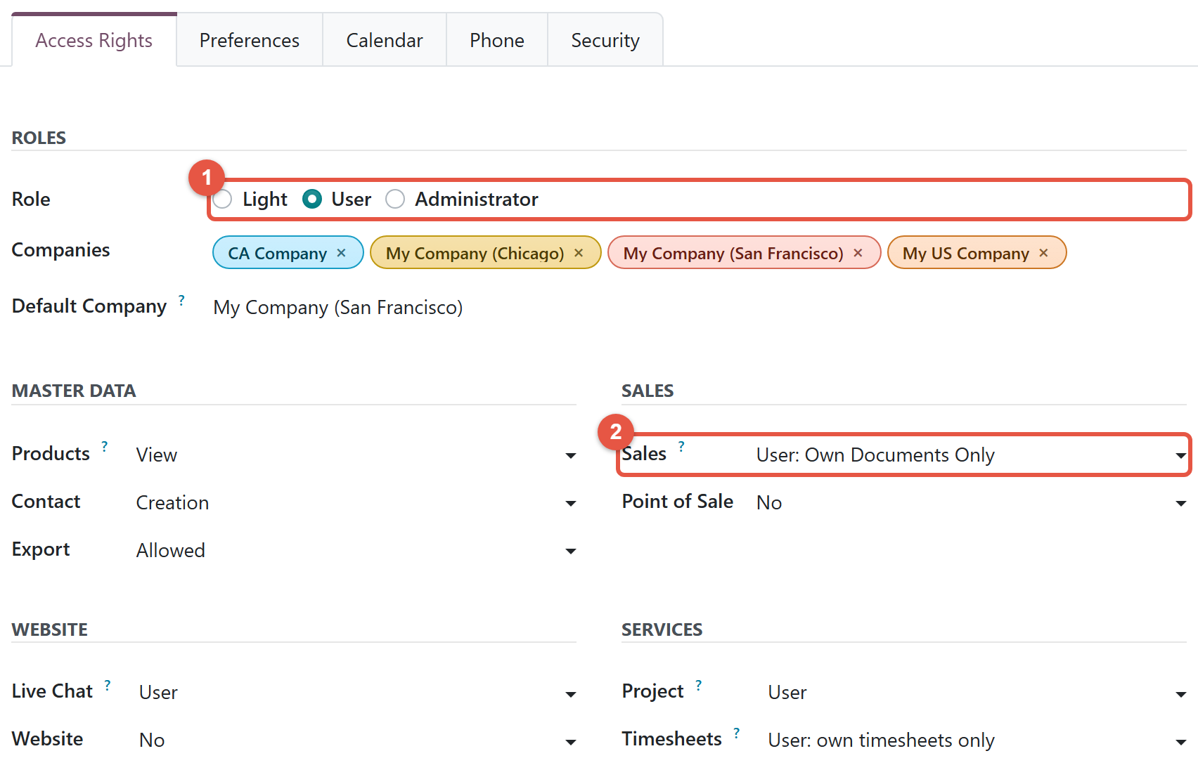 Access Rights tab of an Odoo 20 user with the Role field and the Sales access level highlighted