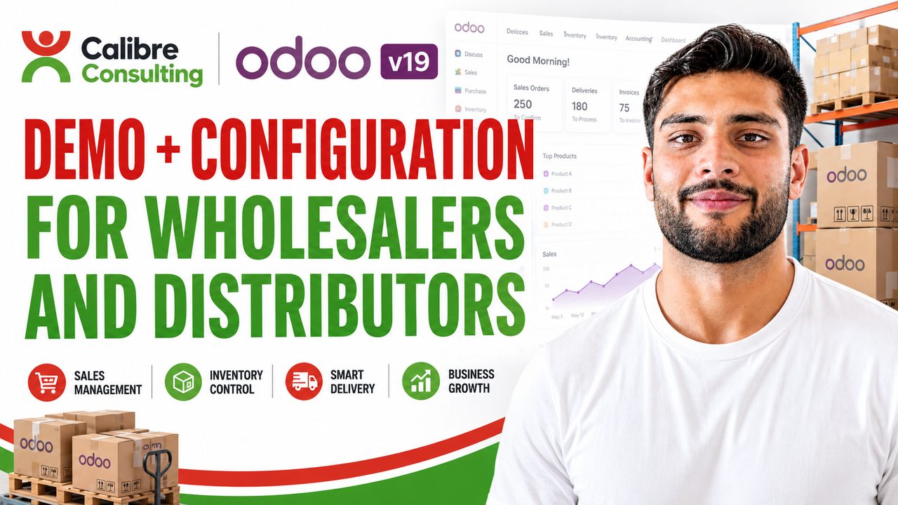Odoo v19 demo and configuration for wholesalers and distributors